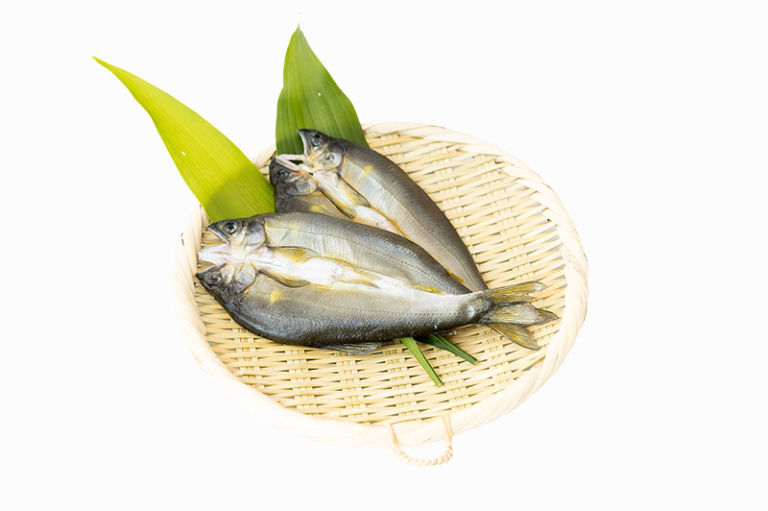 鮎一夜干し